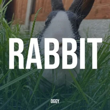 Rabbit by Oggy - album cover