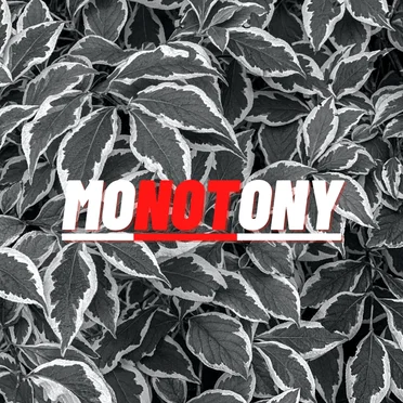 monotony by vokva - album cover