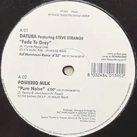 Steve Strange artist image