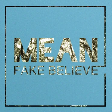 Fake Believe by MEAN - album cover