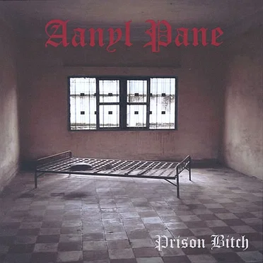 Prison Bitch by Aanyl Pane - album cover