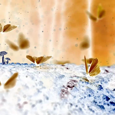 Wings of Flight, Volume 5