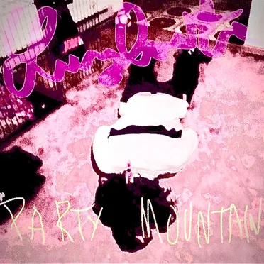 Party Mountain