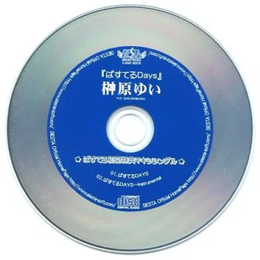 ぱすてる 初回限定版 特典MAXI ぱすてるDays