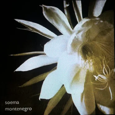 Uno una uno by Soema Montenegro - album cover