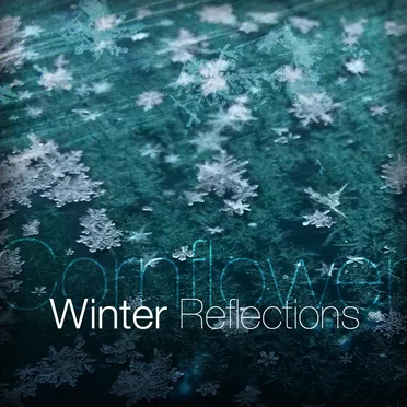Winter Reflections