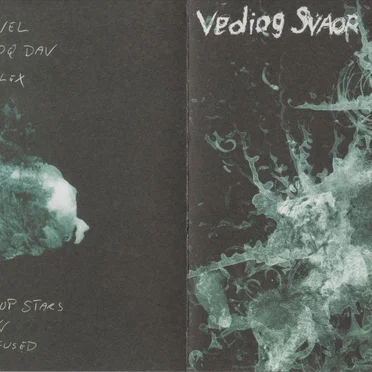 In the Distance by Vediog Svaor - album cover