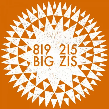 819215 1/3 by Big Zis - album cover