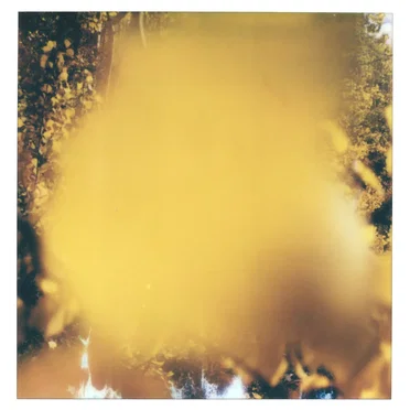 Yellow Leaf