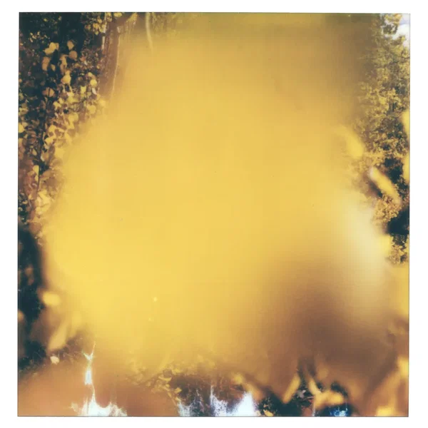 Yellow Leaf