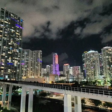 Miami Nights