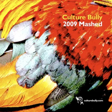 Culture Bully Presents: 2009 Mashed by Various Artists - album cover