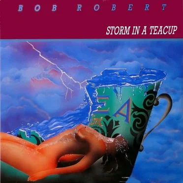 Storm In A Teacup by Bob Robert - album cover