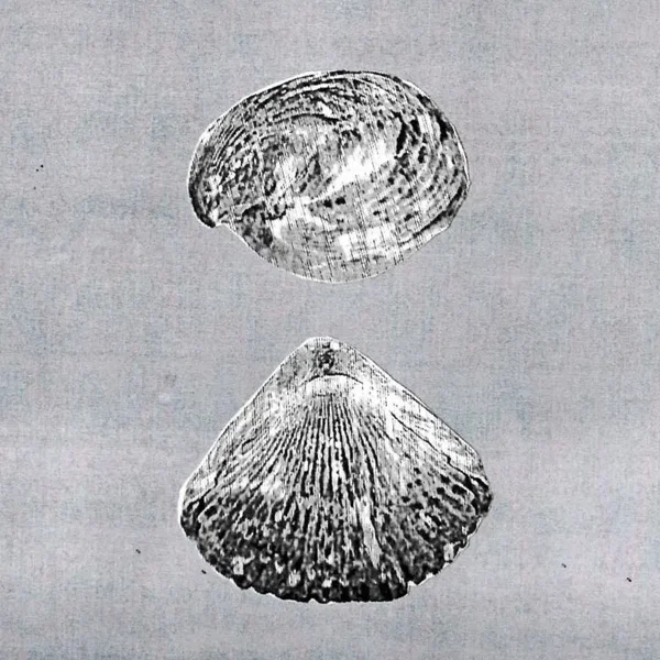 [untitled]