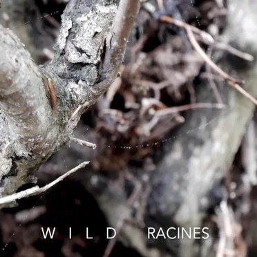 Racines