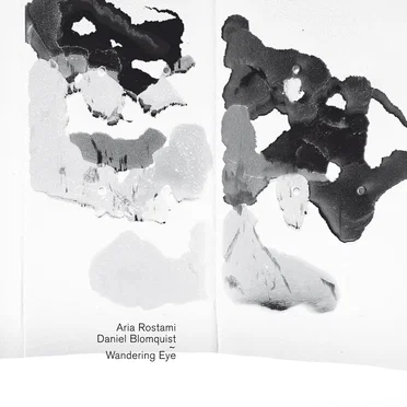 Wandering Eye by Aria Rostami - album cover