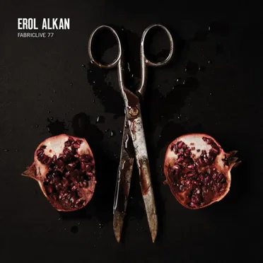 FabricLive 77: Erol Alkan