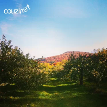 couzinet