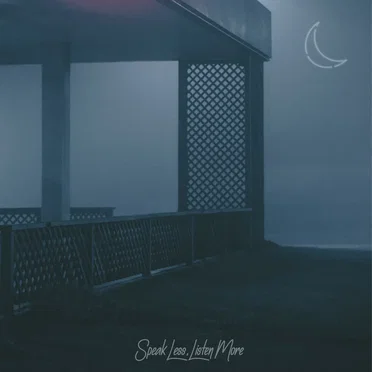 Light of the Night Sky