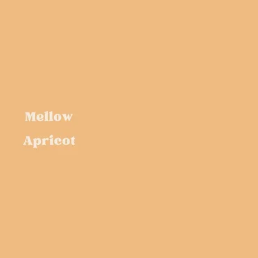 Mellow Apricot by Mixtus - album cover