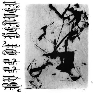 XXXVI by Bull of Heaven - album cover