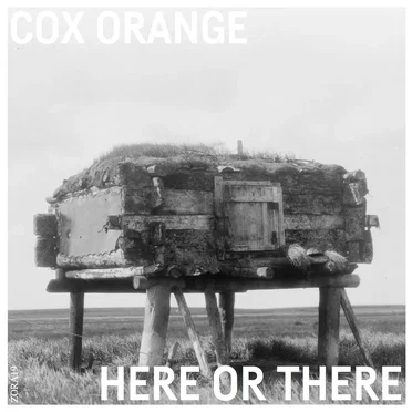Here or There by Cox Orange - album cover