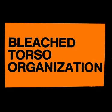 Bleached Torso Organization by Bleached Torso Organization - album cover