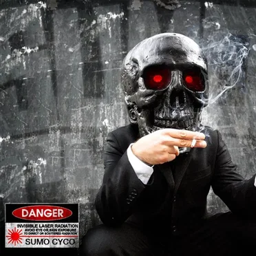 Danger by Sumo Cyco - album cover