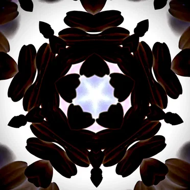 Untitled [2]