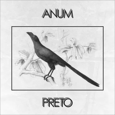 Anum Preto by Anum Preto - album cover