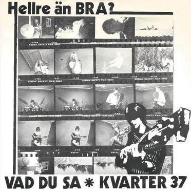 Vad du sa