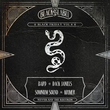Black Friday, Vol. 8 by Various Artists - album cover