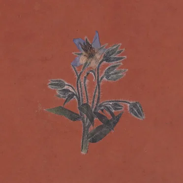 De la friche