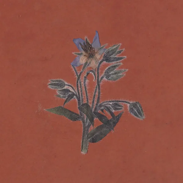 De la friche