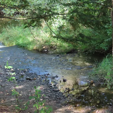 Bothell, WA (10-01-2024)