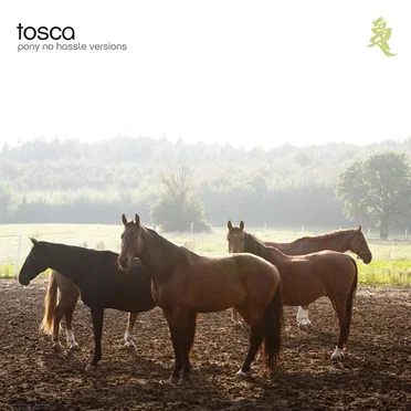 Pony: No Hassle Versions