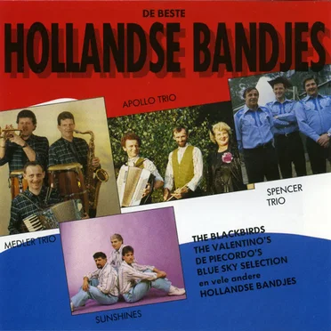 De beste Hollandse bandjes by Various Artists - album cover