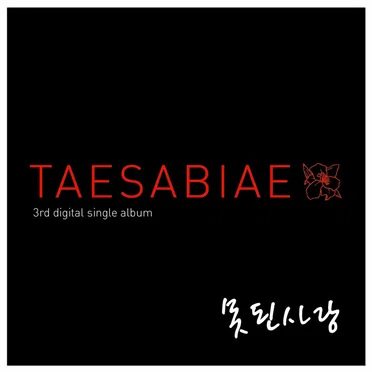태사비애가 III (殆死悲愛歌 Ⅲ) by 태사비애 - album cover