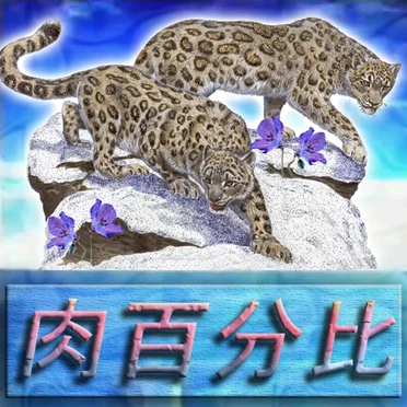 f̗l̗e̗s̗h̗-̗p̗e̗r̗c̗e̗n̗t̗a̗g̗e̗-[%].mov by 押͢花̎ƒl᷊o͚w̯e̟r̘s͘ - album cover