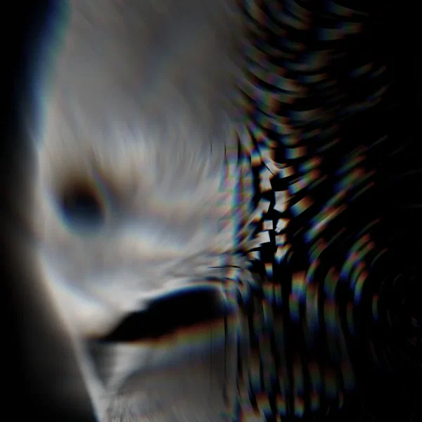 VEIDRIK