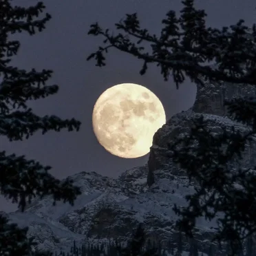 Winter Moon
