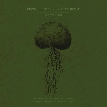 Further Studies Beyond Decay by Everyday Dust - album cover