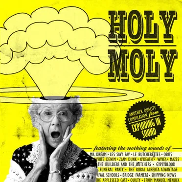 HOLY MOLY!! by Various Artists - album cover