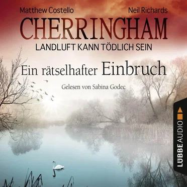 Ein rätselhafter Einbruch by Matthew Costello - album cover