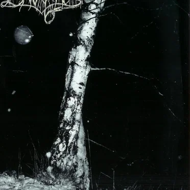 Into Nothingness by Drowning - album cover