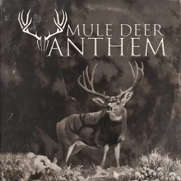 Mule Deer Anthem