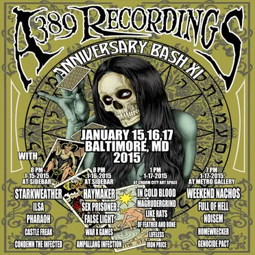 A389 Recordings: Anniversary Bash XI by Various Artists - album cover