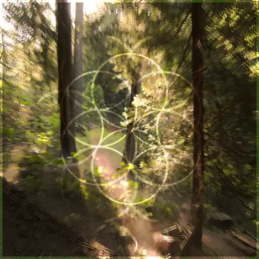 The Tracks we Left Behind