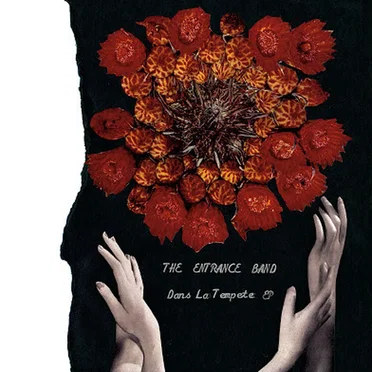 Dans la tempete by The Entrance Band - album cover