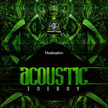Acoustic Energy by Hashashin - album cover